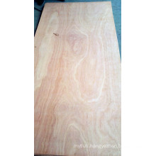 Pencil Cedar Plywood BB/CC Grade Poplar Core (P001)